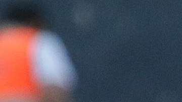 André Pierre Gignac no permitiría que sus hijos jueguen en Rayados de Monterrey