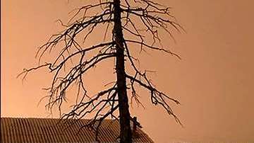 Nadie ha podido explicar qué pudo generar la oscuridad en pleno día.