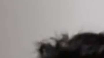 Johnny Rivera y Joaquín