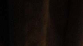 Telenovela "La Jefa del Campeón"