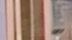 Lili Estefan y Lupillo Rivera