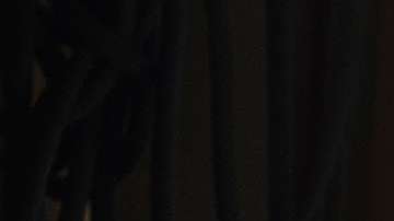 Diego Boneta es Luis Miguel en bioserie de Telemundo y Netflix.