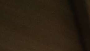 Negocios: Celest y su hija Jessica Quintana en su negocio, Mc Donald's en Jersey City.