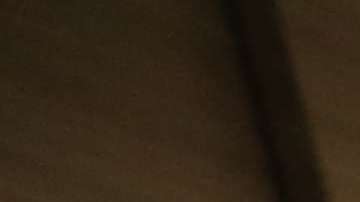 Negocios: Celest y su hija Jessica Quintana en su negocio, Mc Donald's en Jersey City.