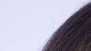 Melania Trump y Philip May no se conocen personalmente.