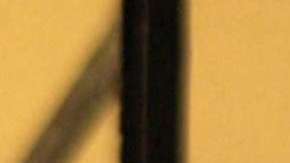 Michel Brown protagoniza "Falco"