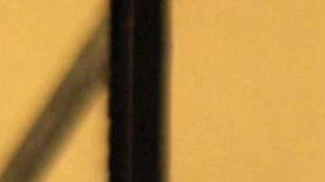 Michel Brown protagoniza "Falco"