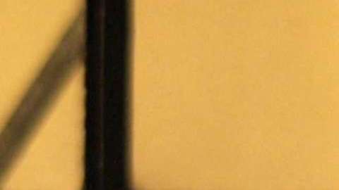 Michel Brown protagoniza "Falco"