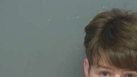 Sarah Peters se declaró culpable de los cargos.