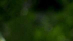 José Luis Higuera, director de Grupo Omnilife