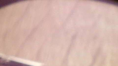 Se investigan las cláusulas y prácticas que impiden la contratación por competidores a trabajadores de bajos salarios./ Shutterstock