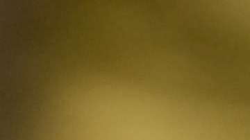 Elige lo mejor para tu auto.