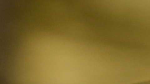 Elige lo mejor para tu auto.