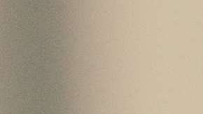 Dicen que muchos perros que se parecen a su dueño.