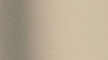 Dicen que muchos perros que se parecen a su dueño.