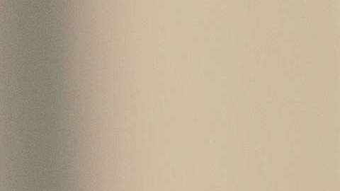 Dicen que muchos perros que se parecen a su dueño.