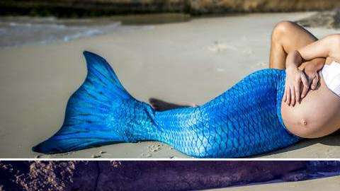 La sesión de fotos de esta familia ha conquistado internet.