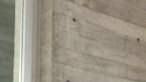 Michel Leaño, técnico del Necaxa. Reforma