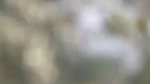 Rafael Amaya en "El Señor de los Cielos"