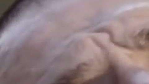 Rafael Amaya en "El Señor de los Cielos"