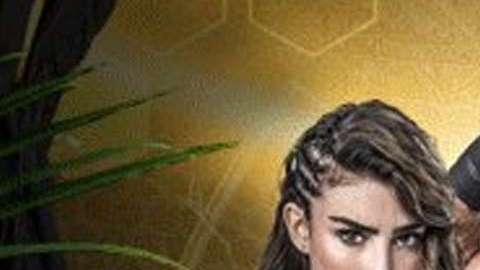 Conoce al ganador de "Reto 4 Elementos"