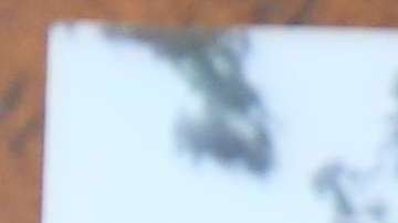 Esposa de Pablo Villavicencio, Sandra Chica con sus hijas, Luciana y Antonia en su casa de Long Island.
Villavicencio fue arrestado por ICE en la base militar en Brooklyn luego que repartiera comida a soldados.