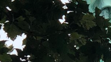 Una mujer intenta escalar la Estatua de la Libertad.