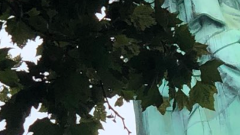 Una mujer intenta escalar la Estatua de la Libertad.