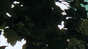 Una mujer intenta escalar la Estatua de la Libertad.