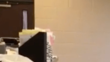 La desmesurada alegría de una mujer al encontrar a su perro.