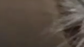 Un gato con esta cara casi humana conquista internet.