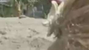 El gran sueño de esta niña era nadar entre sirenas.