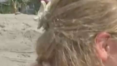 El gran sueño de esta niña era nadar entre sirenas.