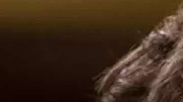 Sebastián Rulli y Neymar