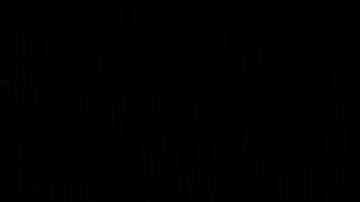 El Servicio Secreto rinde honores al oficial.