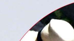 Maria Sharapova fue captada con su novio.