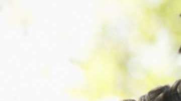 En todos los estados hubo un incremento en parejas de este tipo.