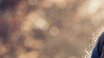 Serle fiel a tu pareja no es tan complicado como pareciera.