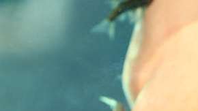 Se ha puesto muy de moda esta práctica de belleza.