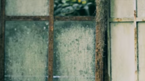 Guillermo Bonetto, vocalista de Los Cafres en el vídeo "Sigo Caminando".