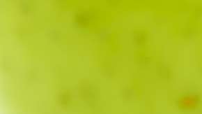 Ten cuidado con tu número de telefonía celular.