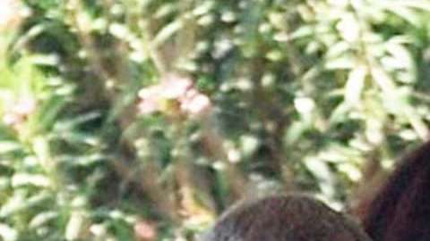 George y Amal Clooney.