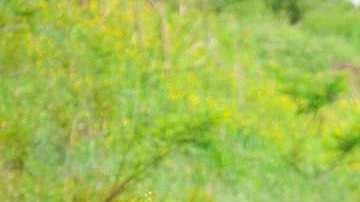 Las modas podrían salir más caras.