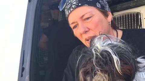 Esta perrita llamada Pixie fue rescatada después de estar 11 años encerrada