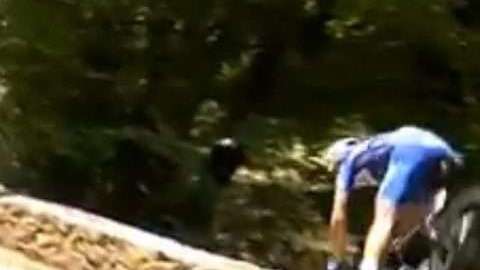 El ciclista belga Philippe Gilbert en su caída de este martes en el Tour de France.