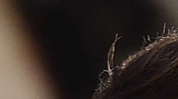 William Levy y David Zepeda