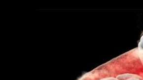 El escáner capta partículas subatómicas.