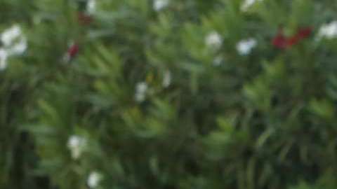 Activistas piden cesar la separación de familias migrantes.