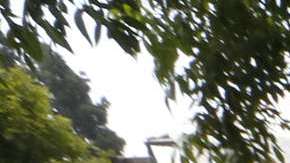 Minorías e inmigrantes pueden influir en las elecciones de noviembre.