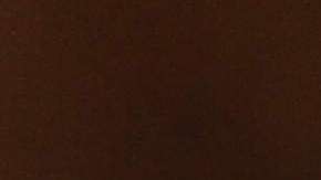 Ceremonia de ciudadanía en biblioteca de Nueva York